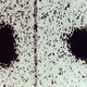 Image for article titled When We Discovered Pluto, It Changed How We Saw The Solar System